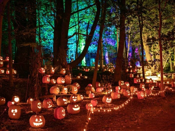 Naumkeag Pumpkin Show