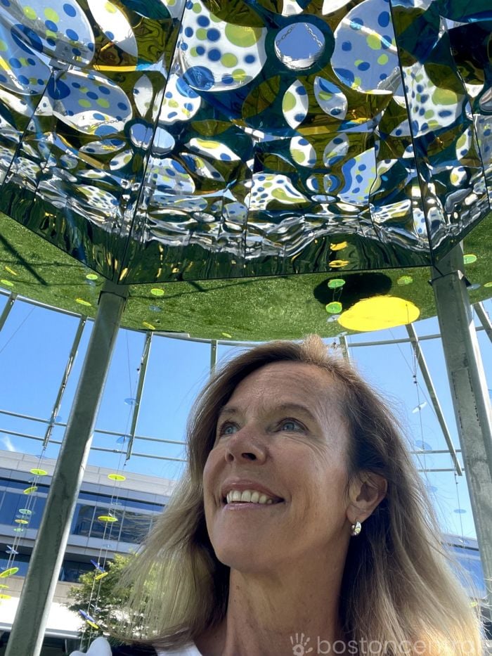 Stacey Sao | Lawn on D Boston