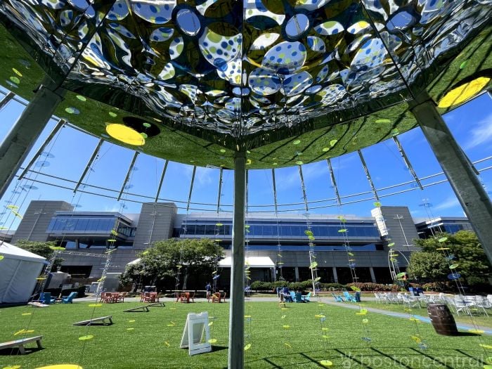 lawn on d boston free things to do