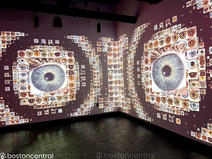 WNDR Museum Boston Eye Mural