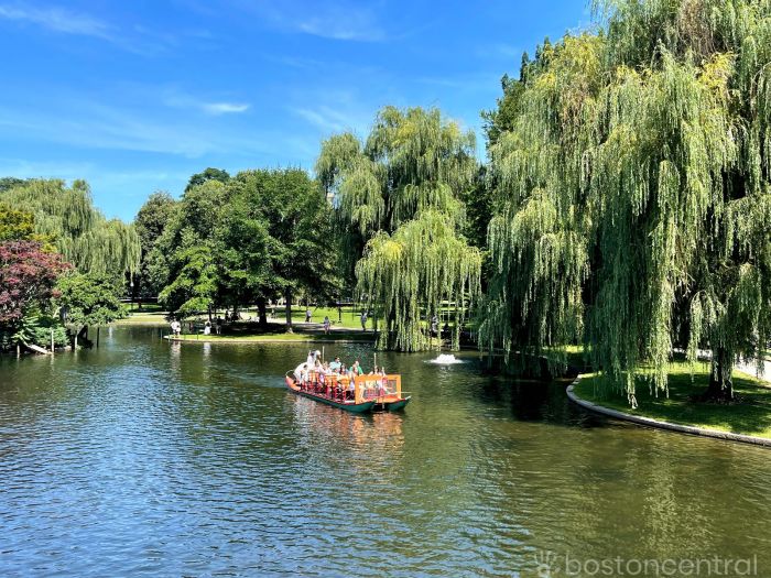 Boston Public Garden Summer | BostonCentral
