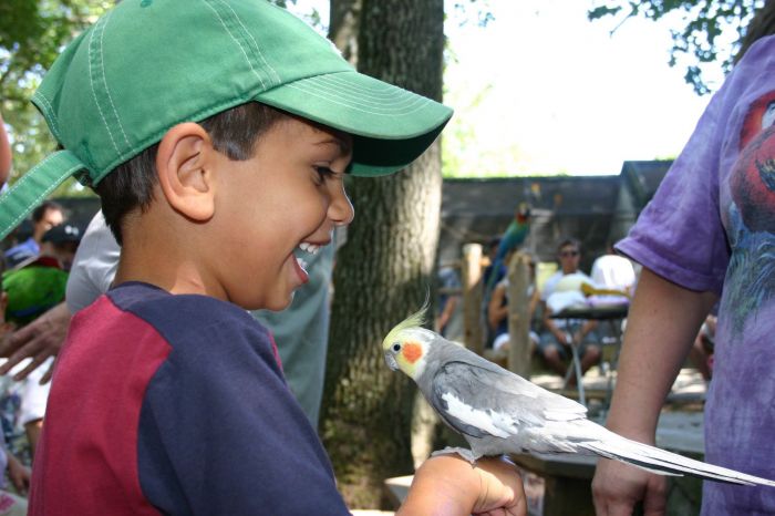 Boston Summer Zoos | BostonCentral Jayson Sao