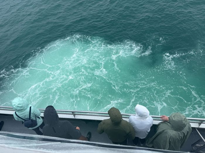 Boston Harbor Cruise Whale Watch | Photoplankton Being Stirred Up