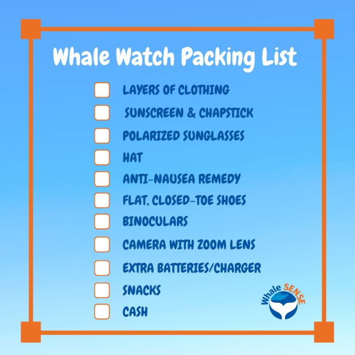 Boston Harbor Cruise | What to Bring | What to Wear