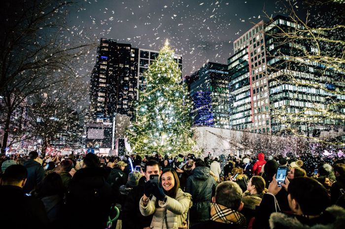 Boston Holiday Lights | Christmas Tree Seaport